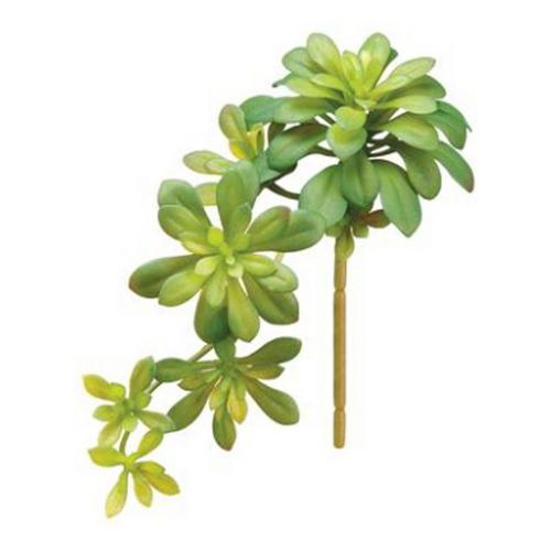 Allstate Floral 11.8" Soft Aeonium Pick - Primary Image