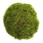 Allstate Floral 2.5" Moss Orb - Thumbnail 3 of 3