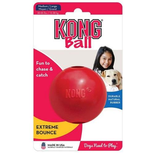 KONG Goody Ball Dog Toy - Primary Image