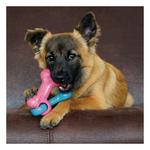KONG Linked Bone Dog Toy - Thumbnail 4 of 4