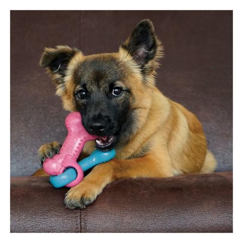 KONG Linked Bone Dog Toy - Primary Image