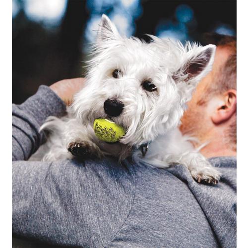 KONG SqueakAir Ball Dog Toy 3-Pack