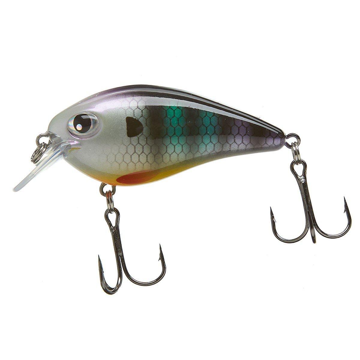 Neon Bluegill - Scheels Outfitters FatEye Square Bill Crankbait