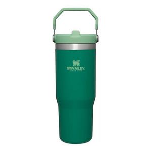 Stanley IceFlow 30 oz Flip Straw Tumbler