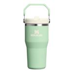 Stanley IceFlow 20 oz Flip Straw Tumbler - Thumbnail 1 of 3