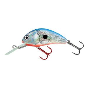 Silver Blue Shad - Salmo Hornet Floating Crankbait