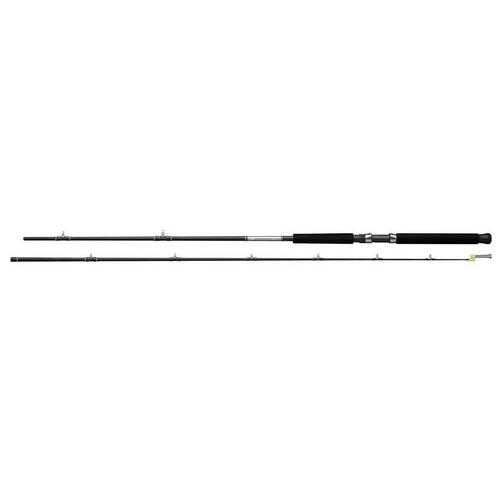 Daiwa Great Lakes Trolling Rod - Primary Image