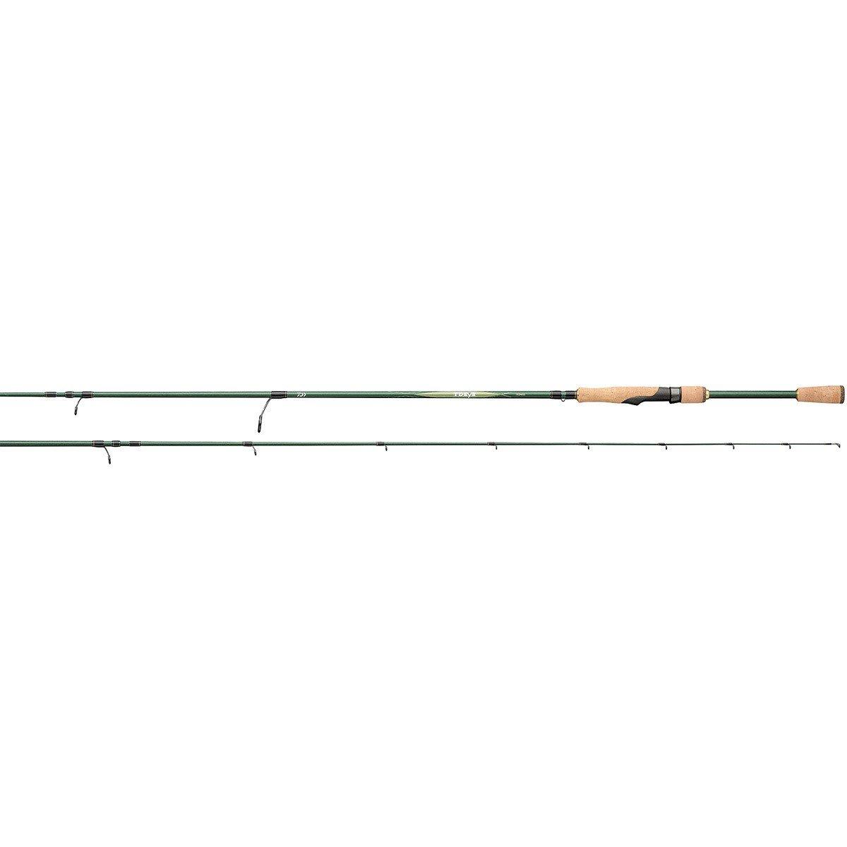 Daiwa TD Eye