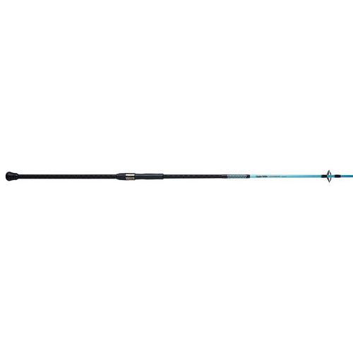Ugly Stik Carbon Surf Spinning Rod | SCHEELS.com