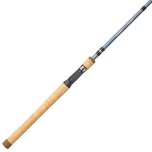 Pflueger President Casting Rod - Primary Image
