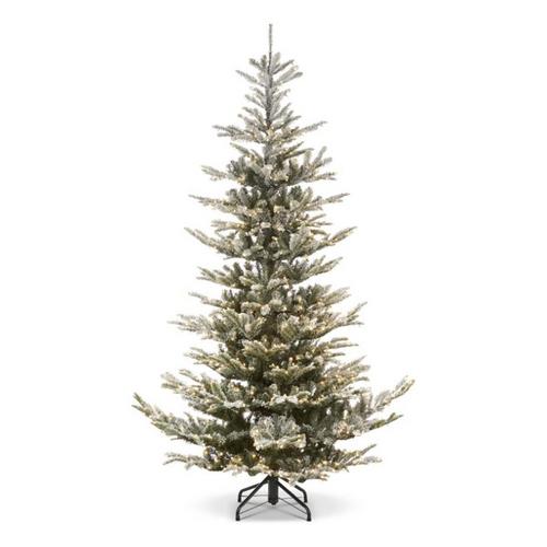 RAZ Imports 9' Snowy Norwegian Spruce with Brilliant Color Change LED Lights - Primary Image