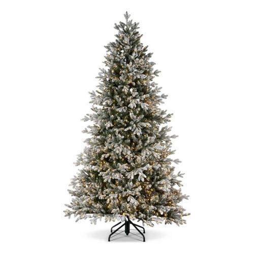 RAZ Imports 9' Snowy Nordic Fir with Brilliant Color Change LED Lights - Primary Image