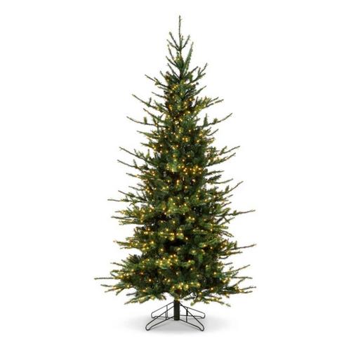 RAZ Imports 9' Rocky Mountain Spruce with Brilliant Color Change LED Lights - Primary Image