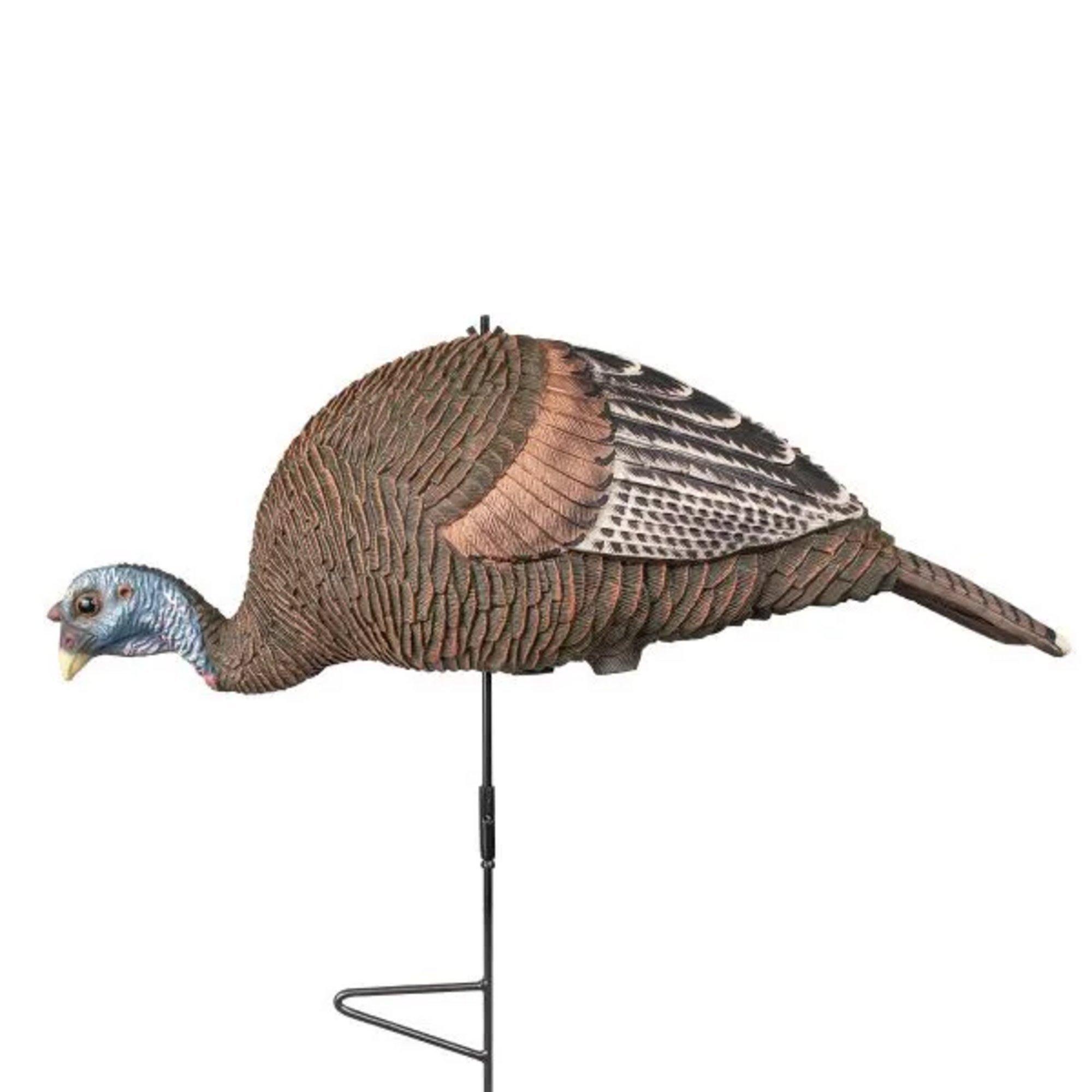 Knight & Hale Pretty Girl Bugging Hen Turkey Decoy