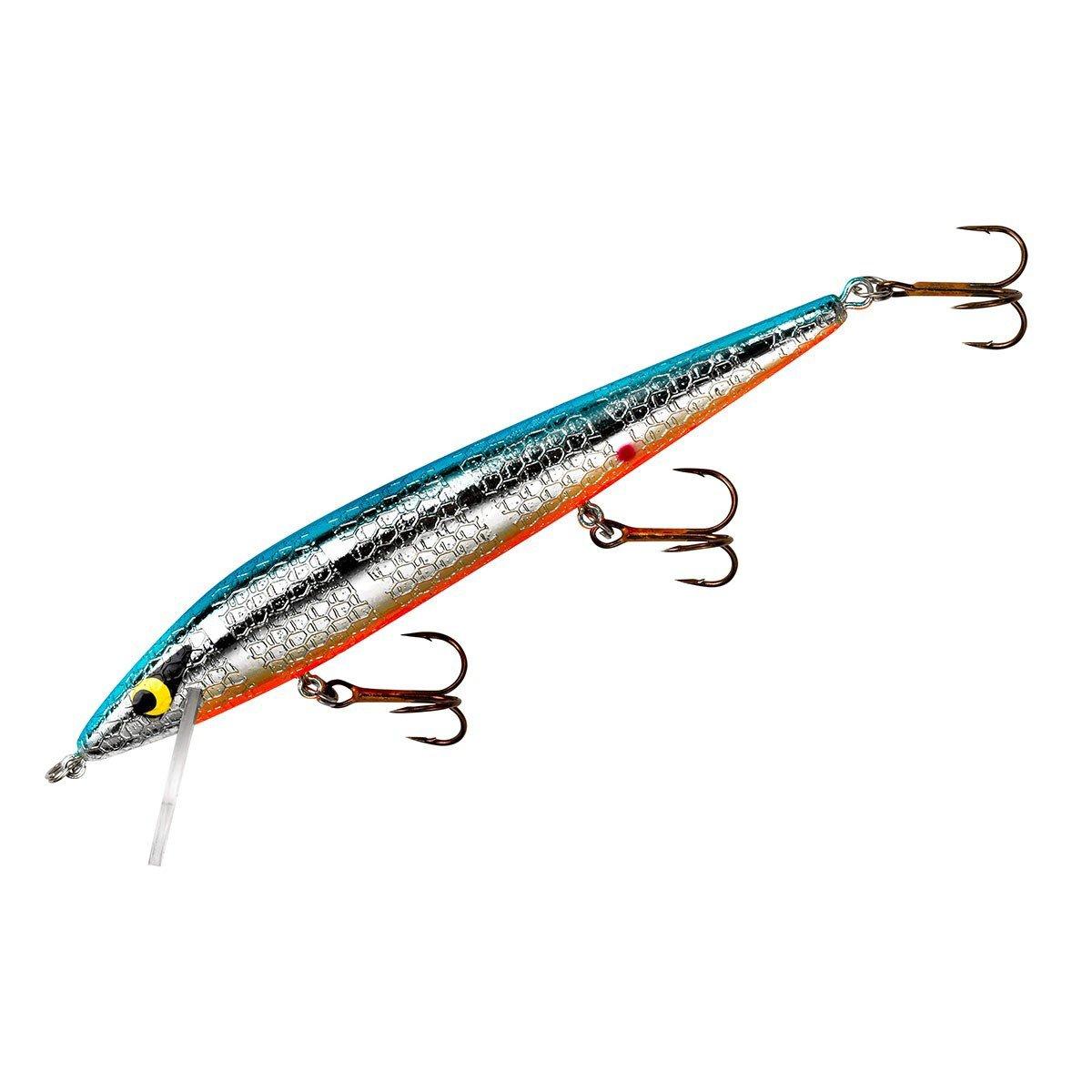 16554::Chrome/Blue Orange Belly - Suspending Rattlin' Rogue