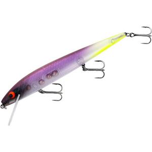 Jokers Rogue - Smithwick Perfect 10 Rogue Crankbait