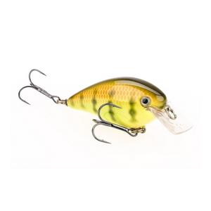 Chartreuse Perch - Strike King KVD Square Bill Crankbait
