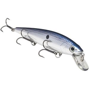Chrome Blue - Strike King KVD 200 Jerkbait
