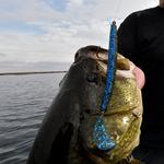 Rage Cut-R Worm - Thumbnail 2 of 2