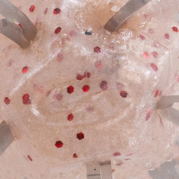 Strike King Tumbleweed Salted Finesse Dice Bait