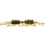 Sexy Bug - Thumbnail 2 of 2