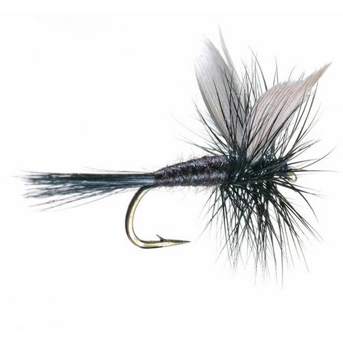 Umpqua Black Gnat Dry Fly - Primary Image