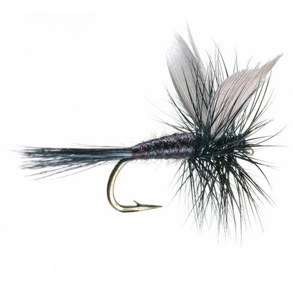UMPQUA FEATHER MERCHANTS Umpqua Black Gnat Dry Fly
