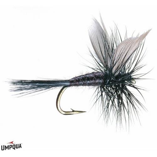 Umpqua Black Gnat Dry Fly - Primary Image