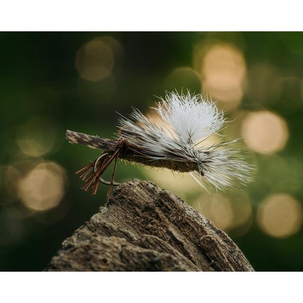 Umpqua Feather Merchants Umpqua TMC 5212 Hook Pack