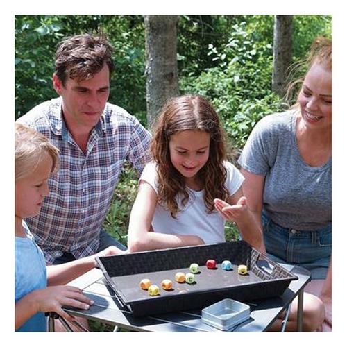 Coghlan's Fireside Story Dice - Primary Image