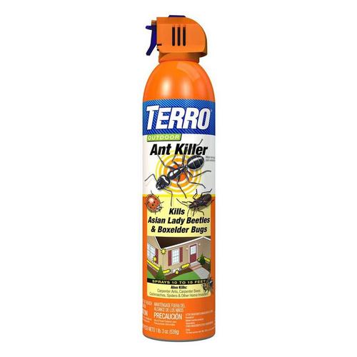 TERRO Liquid Ant Killer 19 oz - Primary Image