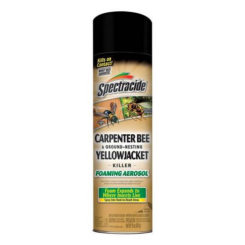 Spectracide Foam Insect Killer 16 oz - Primary Image