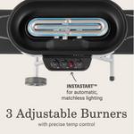 Coleman RoadTrip 285 Portable Stand-Up Propane Grill - Thumbnail 3 of 6