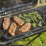 Weber Traveler Portable Gas Grill - Thumbnail 4 of 4