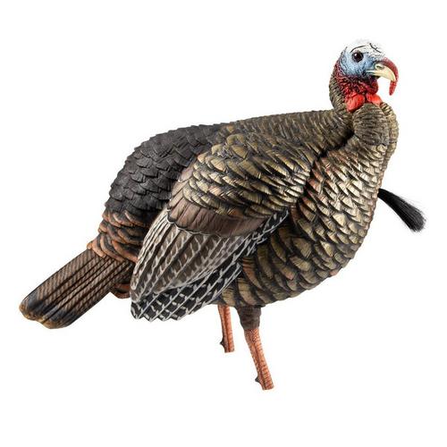 Avian-X HDR Jake Turkey Decoy - Primary Image