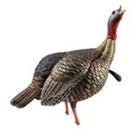 Avian-X HDR Jake Turkey Decoy - Thumbnail 2 of 3