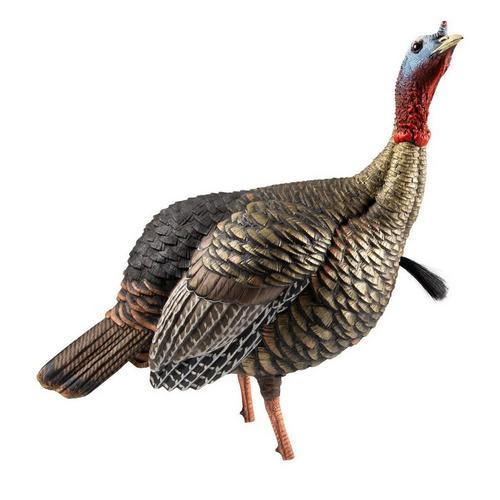Avian-X HDR Jake Turkey Decoy - Primary Image