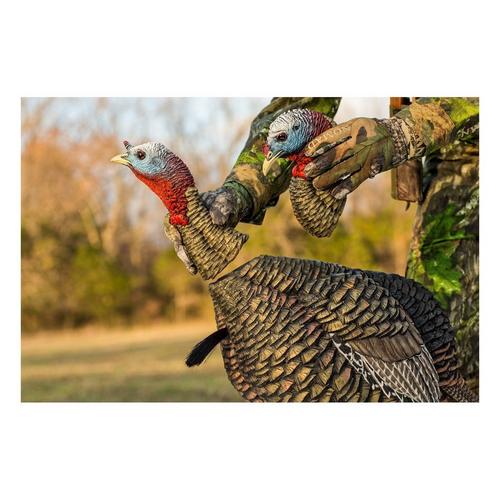 Avian-X HDR Jake Turkey Decoy - Primary Image