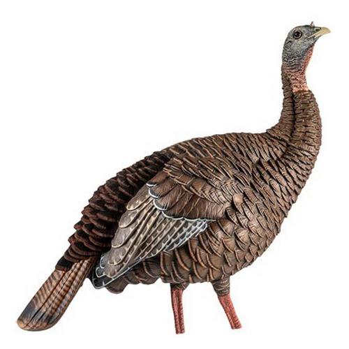 Avian-X HDR Hen Turkey Decoy - Primary Image