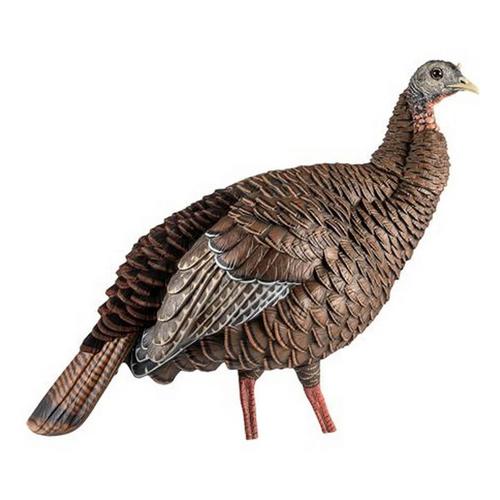 Avian-X HDR Hen Turkey Decoy - Primary Image