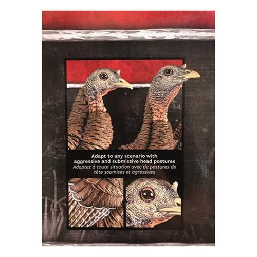 Avian-X HDR Hen Turkey Decoy - Primary Image