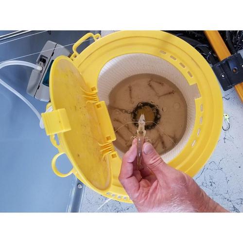 Frabill Insulated Dual Bait Bucket with Clip-On Aerator - Primary Image