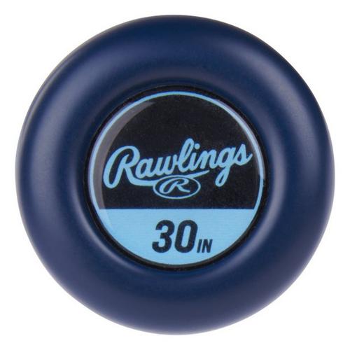 2024 Rawlings Clout (-10) USSSA Youth Baseball Bat - Primary Image