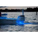 LUMITEC SeaBlaze Mini LED Underwater Light 2 Pack - Thumbnail 3 of 5