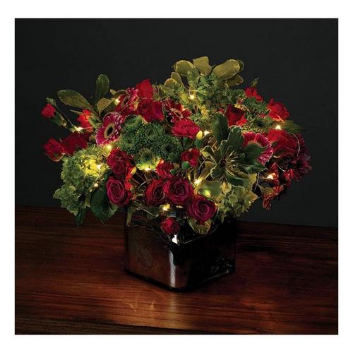 Roman Inc 100L USB LED Warm White Silver Wire - Primary Image