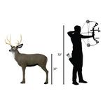 Delta Mckenzie Mule Deer 3D Archery Target - Thumbnail 2 of 3