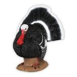 Delta McKenzie Strutter Turkey 3D Archery Target - Thumbnail 2 of 2