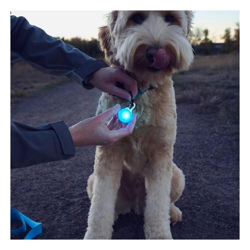 Nite Ize Spotlit Rechargeable Collar Light