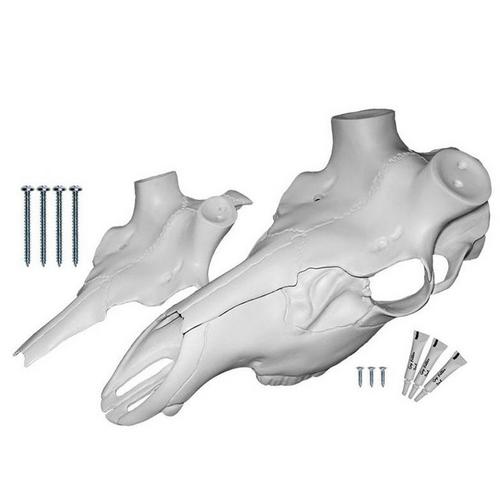 Mountain Mike's Skull Master Elk European Mount Kit - Primary Image