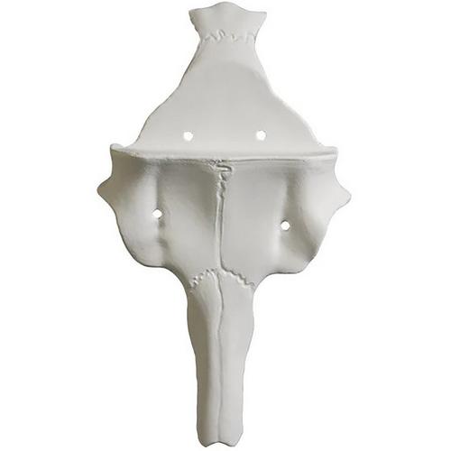 Mountain Mike's Record Keeper European Mount Kit Deer - Primary Image